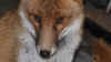 maexchen202210portrait.jpg (80910 Byte)
