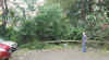 sturm20171006a.jpg (231006 Byte)